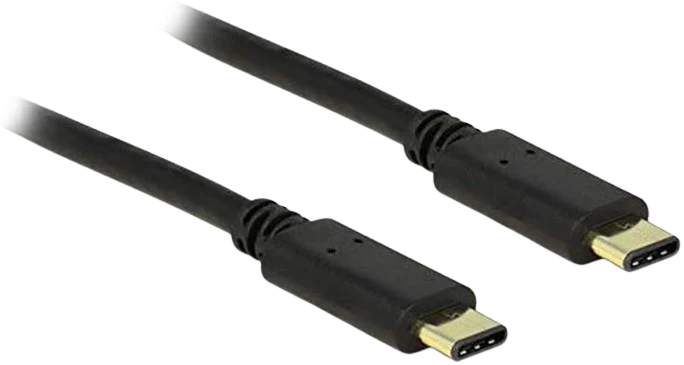 Delock 2M USB-C 2.0 to USB-C 2.0 Cable